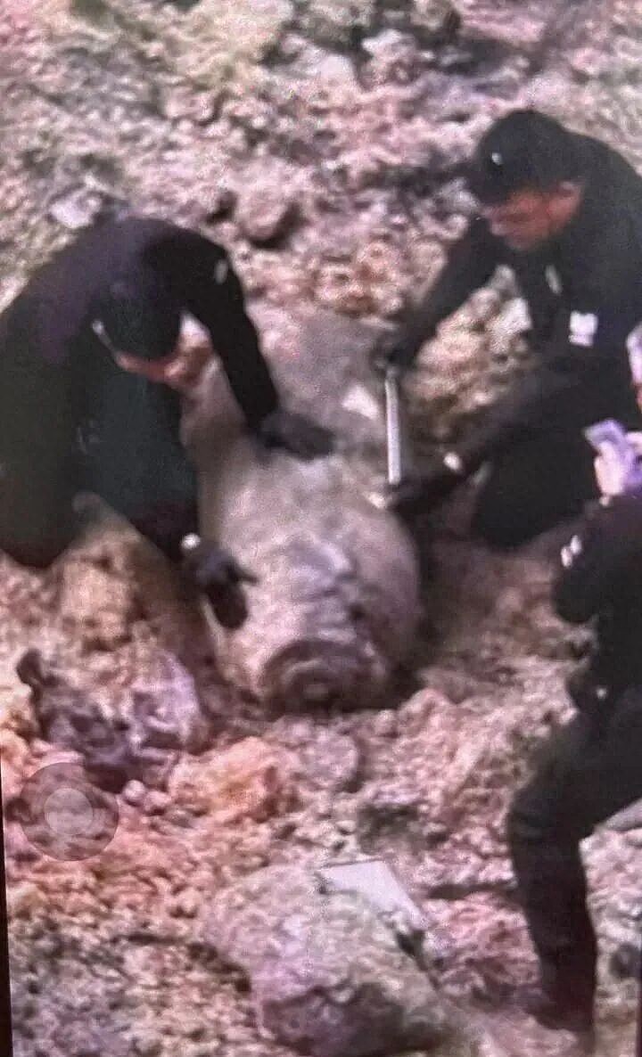 香港惊现千磅炸弹！周边区域紧急封锁，6000居民被疏散（视频/组图） - 2