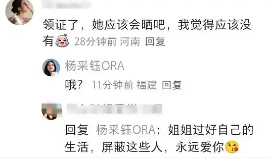 杨采钰官宣当妈，老公是超级富三代，她再也不是刘二菲了（组图） - 19
