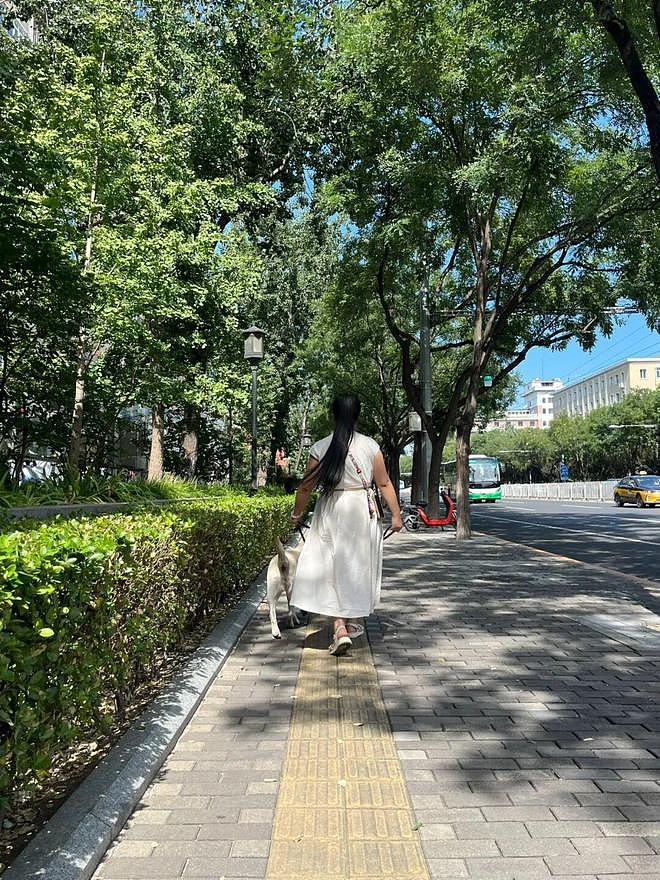 视障人士携导盲犬雨夜爬泰山引争议，当事人发声（组图） - 4