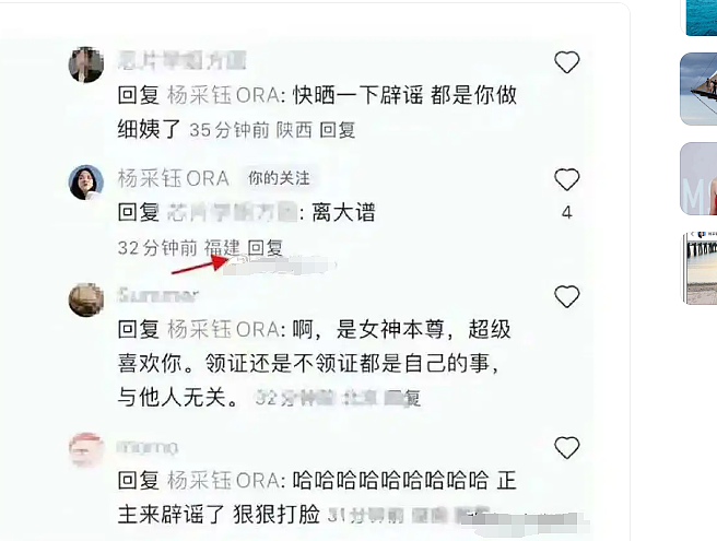 杨采钰官宣当妈，老公是超级富三代，她再也不是刘二菲了（组图） - 20
