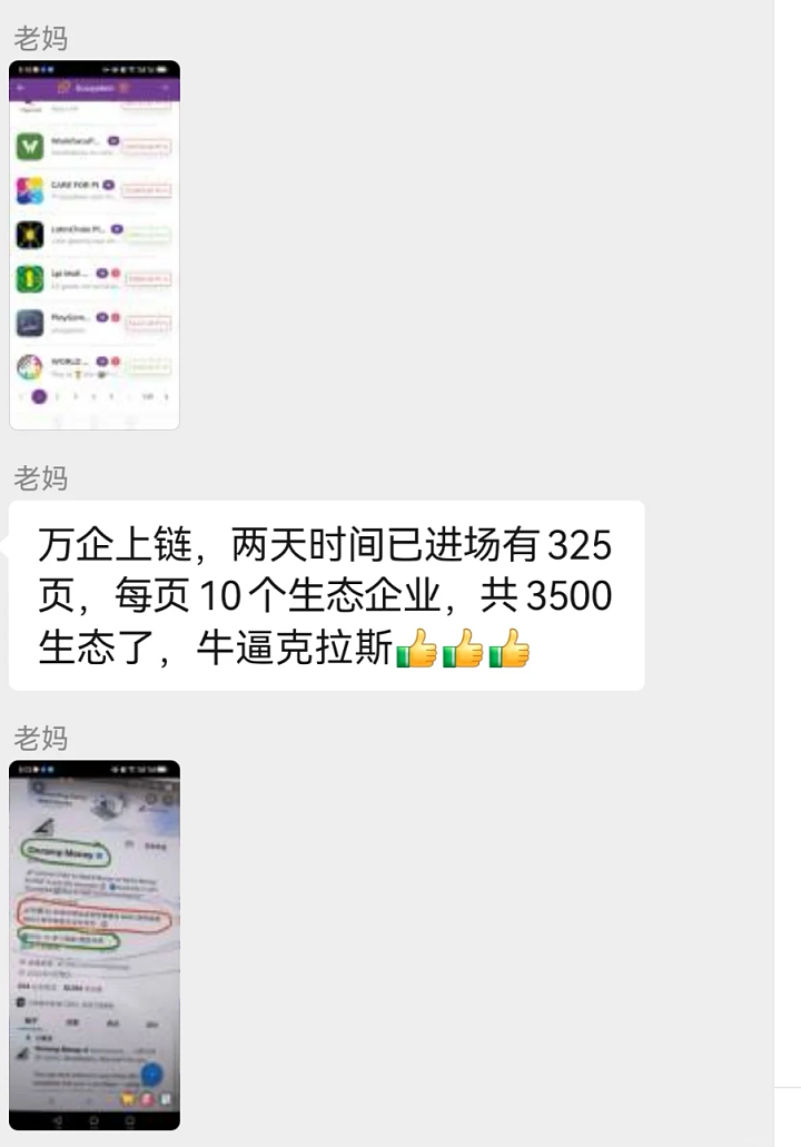 60岁父母“炒币”，掏空多少中产家庭？（组图） - 13
