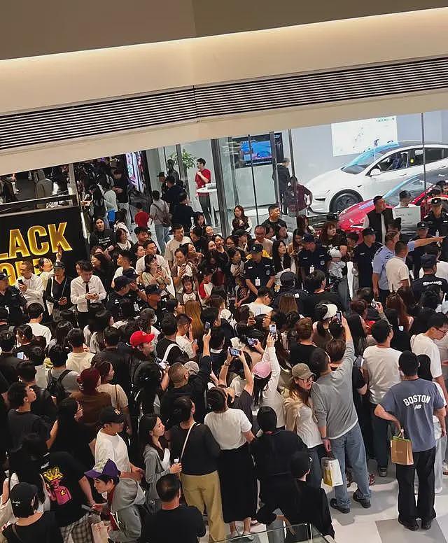 34岁何超莲现身沈阳！脸小生图超美，娇小玲珑人气高，如今已是人生赢家（组图） - 9