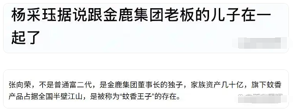 杨采钰官宣当妈，老公是超级富三代，她再也不是刘二菲了（组图） - 16