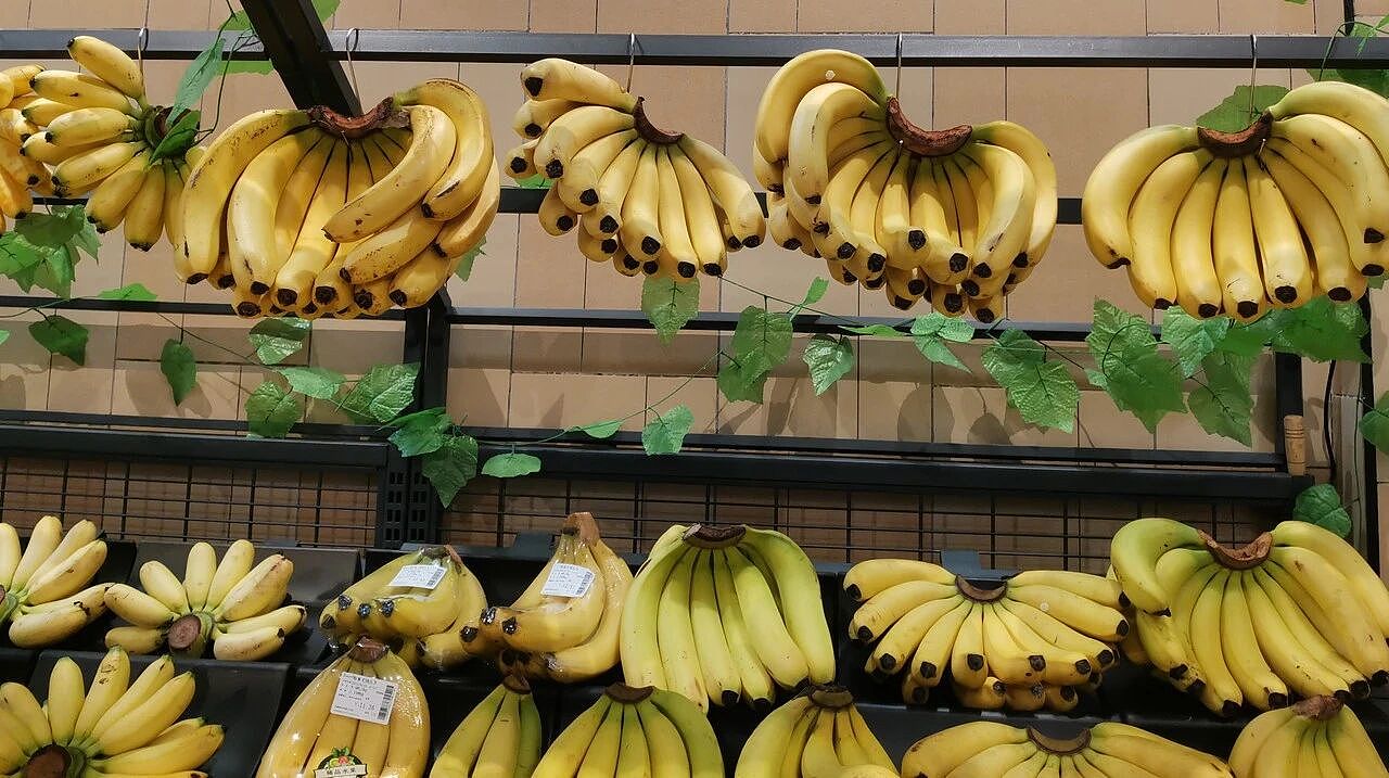 为什么精品商超里很少见国产香蕉？（组图） - 2
