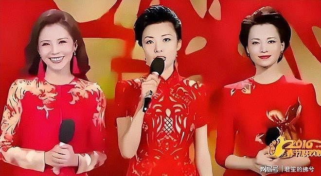 央视一姐董卿“陨落”!51岁的她成于自己,却败给婚姻与时代(组图) - 4