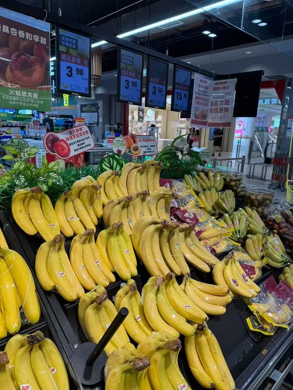 为什么精品商超里很少见国产香蕉？（组图） - 1