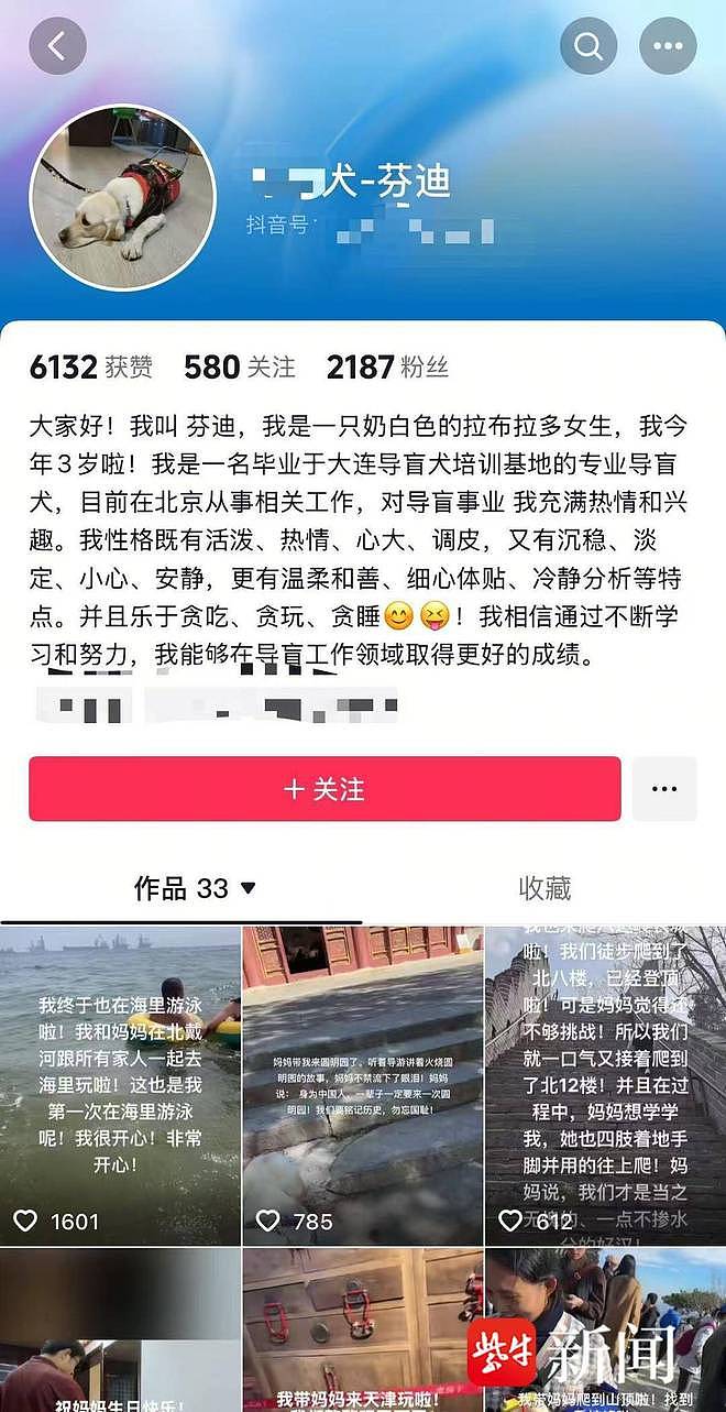 视障人士携导盲犬雨夜爬泰山引争议，当事人发声（组图） - 3