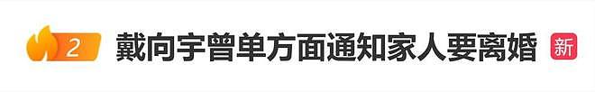 戴向宇曾单方面通知家人要和陈紫函离婚（组图） - 1