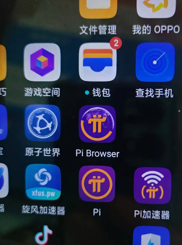 60岁父母“炒币”，掏空多少中产家庭？（组图） - 30