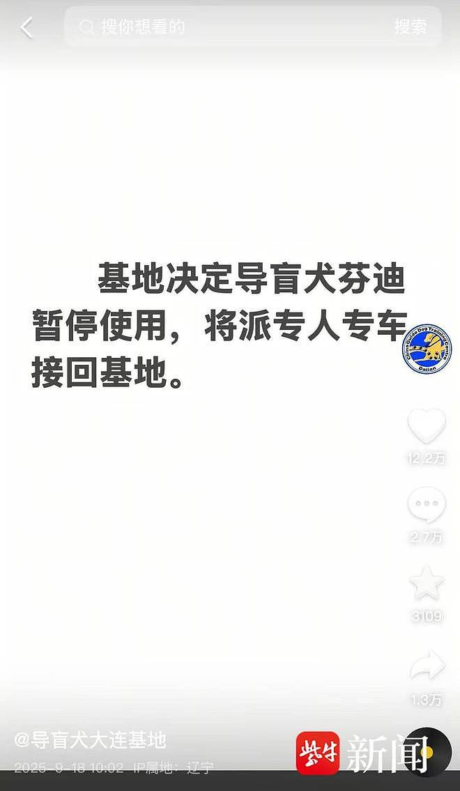 视障人士携导盲犬雨夜爬泰山引争议，当事人发声（组图） - 2