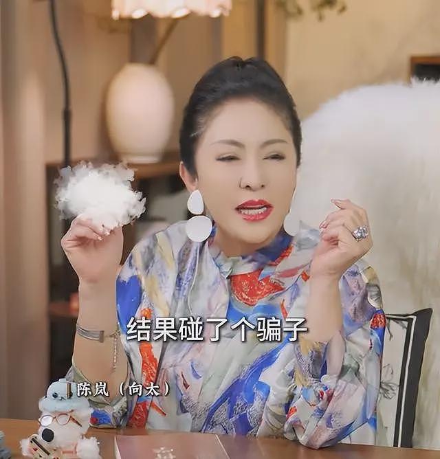 向太爆知名女星被骗婚！假豪门老公身家就一辆车，婚礼酒席还逃单（组图） - 4