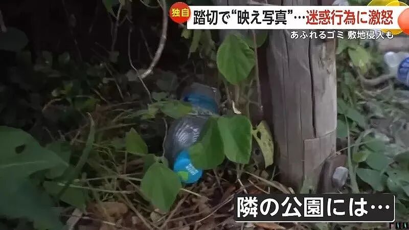 灌篮高手打卡地乱象，政府设立专门拍照区，实验4天后....（组图） - 5