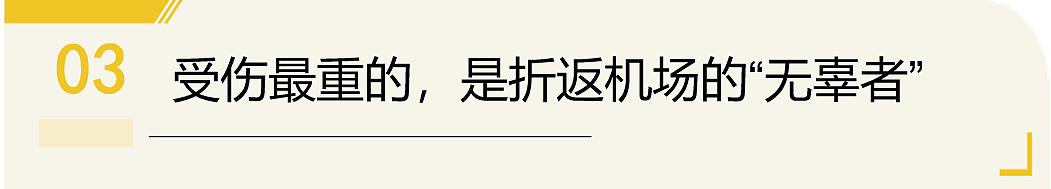 特朗普又改口了！H1B疯狂新政官宣后，留美学生遭遇“烽火戏诸侯”（组图） - 7