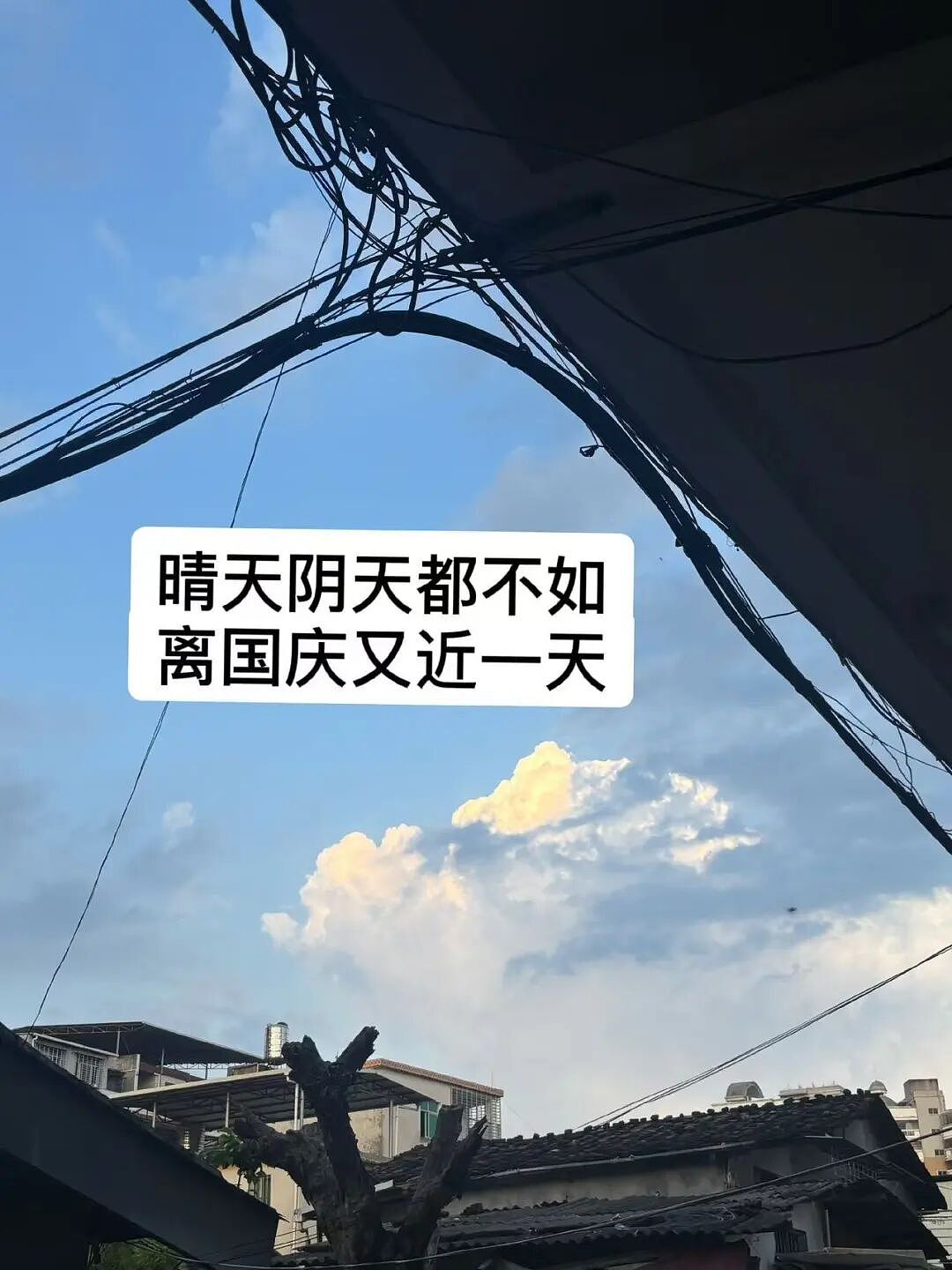【爆笑】“相亲还要先发表sci一区论文…?”啊啊啊留给正常人的时间已经不多了!(组图) - 38