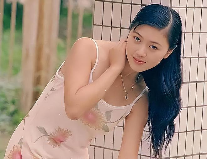 田海蓉和田海燕：姐俩全嫁富豪，妹为姐退圈，替她看孩子管公司（组图） - 6