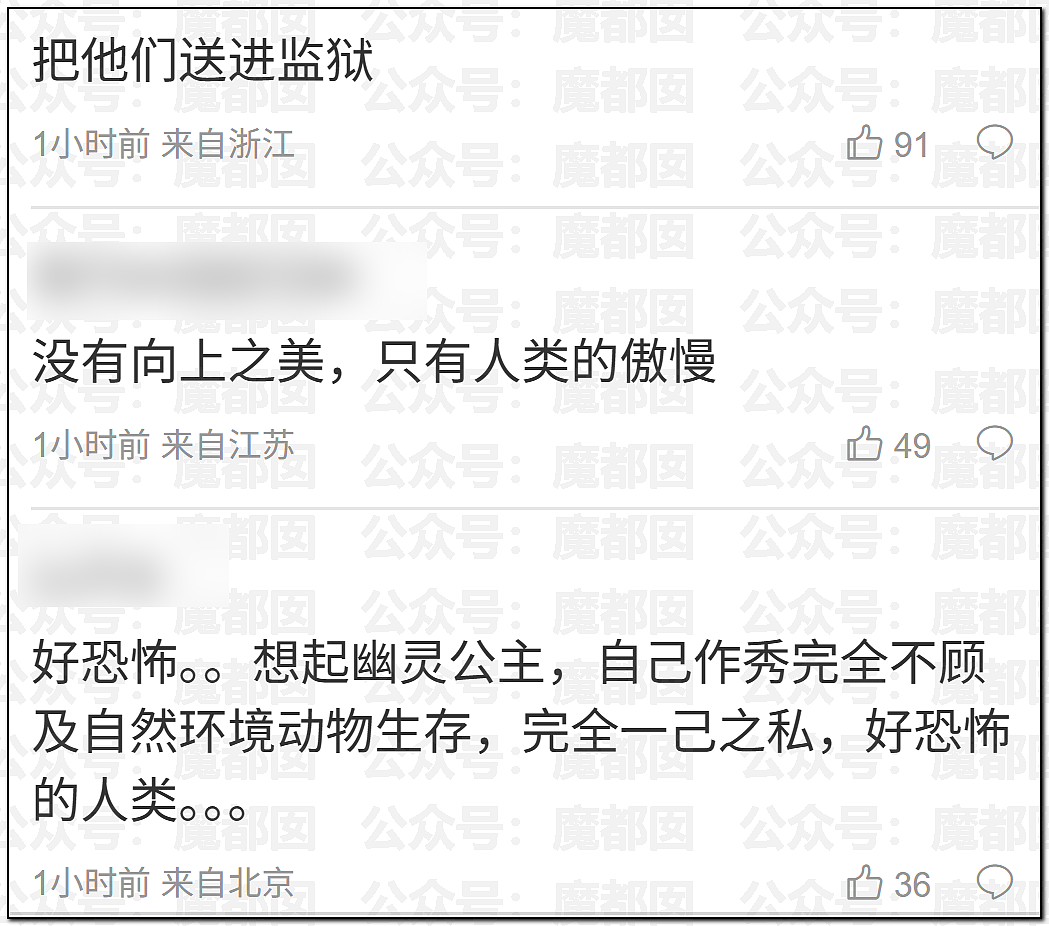 老百姓放烟花都受限！始祖鸟却在青藏高原炸中华民族的龙脉（组图） - 70