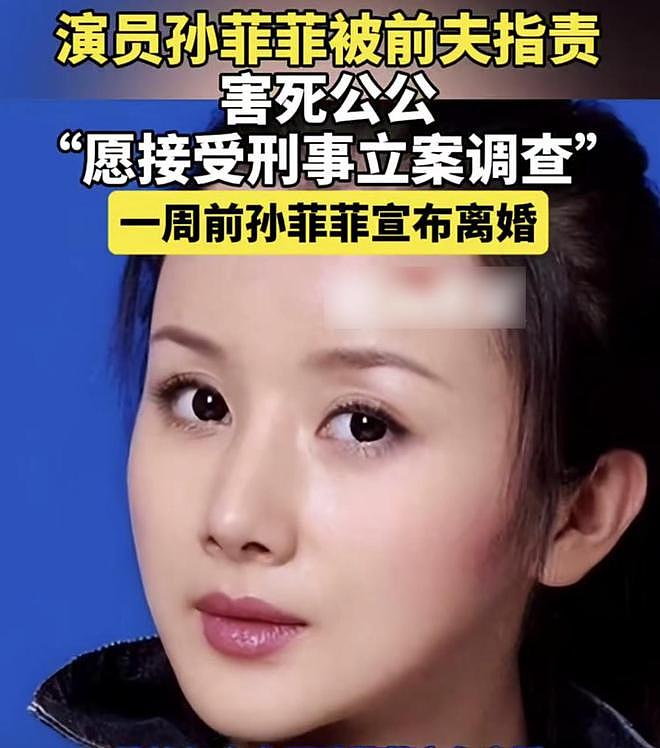 孙菲菲“离婚瓜“持续发酵,未婚先孕只是冰山一角,后面爆料更狗血(组图) - 2