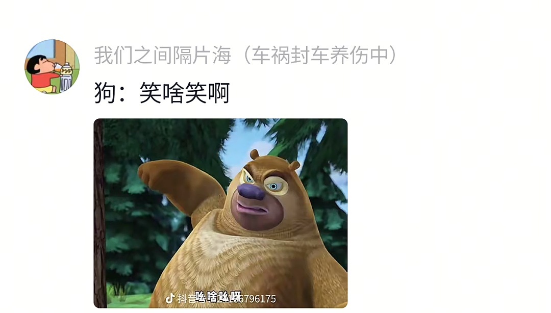 【宠物】网友给狗子洗完澡用吹风机开起了演唱会,狗子也超配合…演唱会的风还是吹到了狗届(组图) - 9