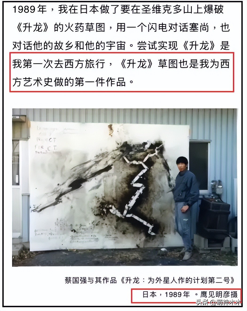 蔡国强烟花事件升级!被曝致敬西方艺术,活动曾被法国日本拒绝(组图) - 5