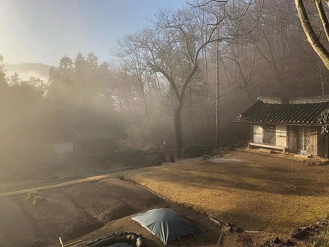 被封杀18年后，46岁汤唯现状曝光：离开娱乐圈的日子，我在乡下种菜养鸡（组图） - 22