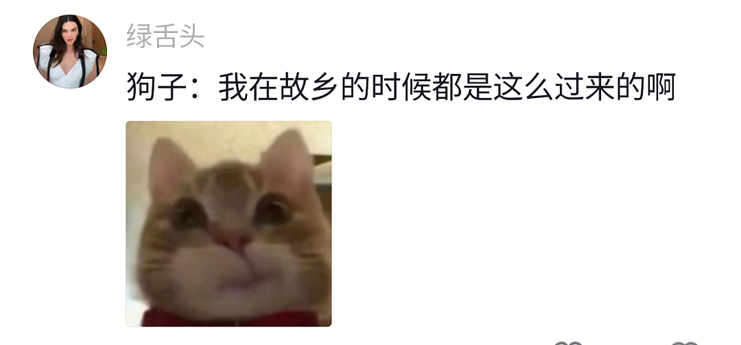 【宠物】网友给狗子洗完澡用吹风机开起了演唱会,狗子也超配合…演唱会的风还是吹到了狗届(组图) - 31
