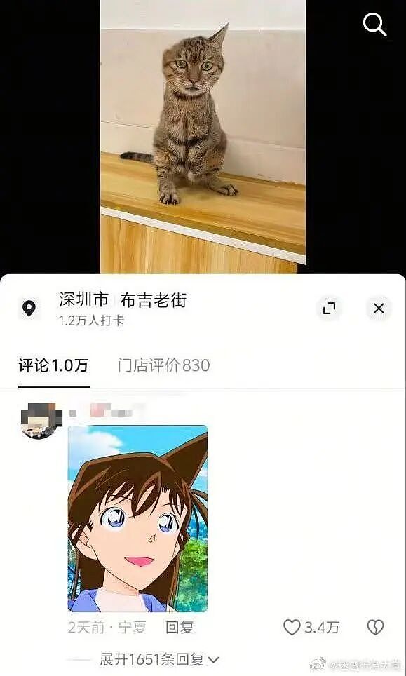 【爆笑】“相亲还要先发表sci一区论文…?”啊啊啊留给正常人的时间已经不多了!(组图) - 28
