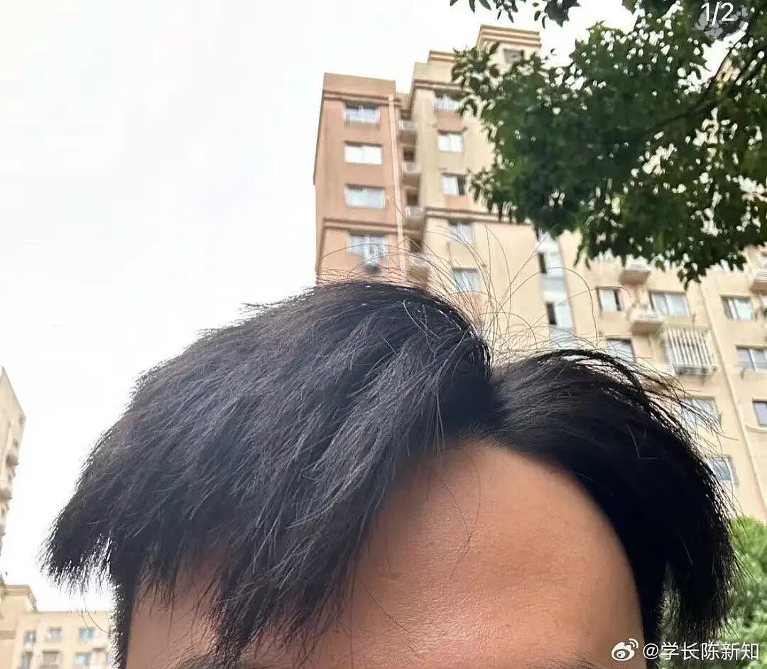 【爆笑】“相亲还要先发表sci一区论文…?”啊啊啊留给正常人的时间已经不多了!(组图) - 50