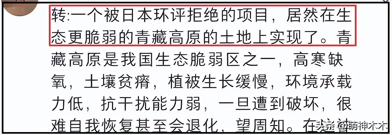 蔡国强烟花事件升级!被曝致敬西方艺术,活动曾被法国日本拒绝(组图) - 8