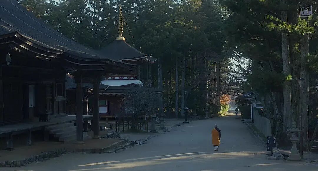 24岁，我裸辞出家，决定说出真相（组图） - 11