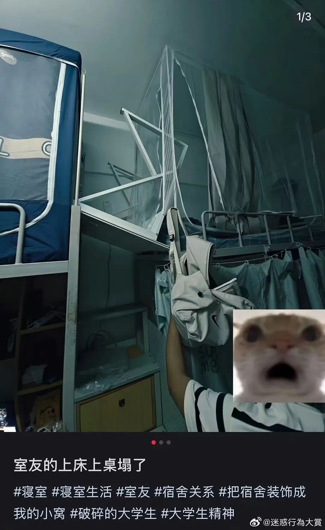 【爆笑】“相亲还要先发表sci一区论文…?”啊啊啊留给正常人的时间已经不多了!(组图) - 96