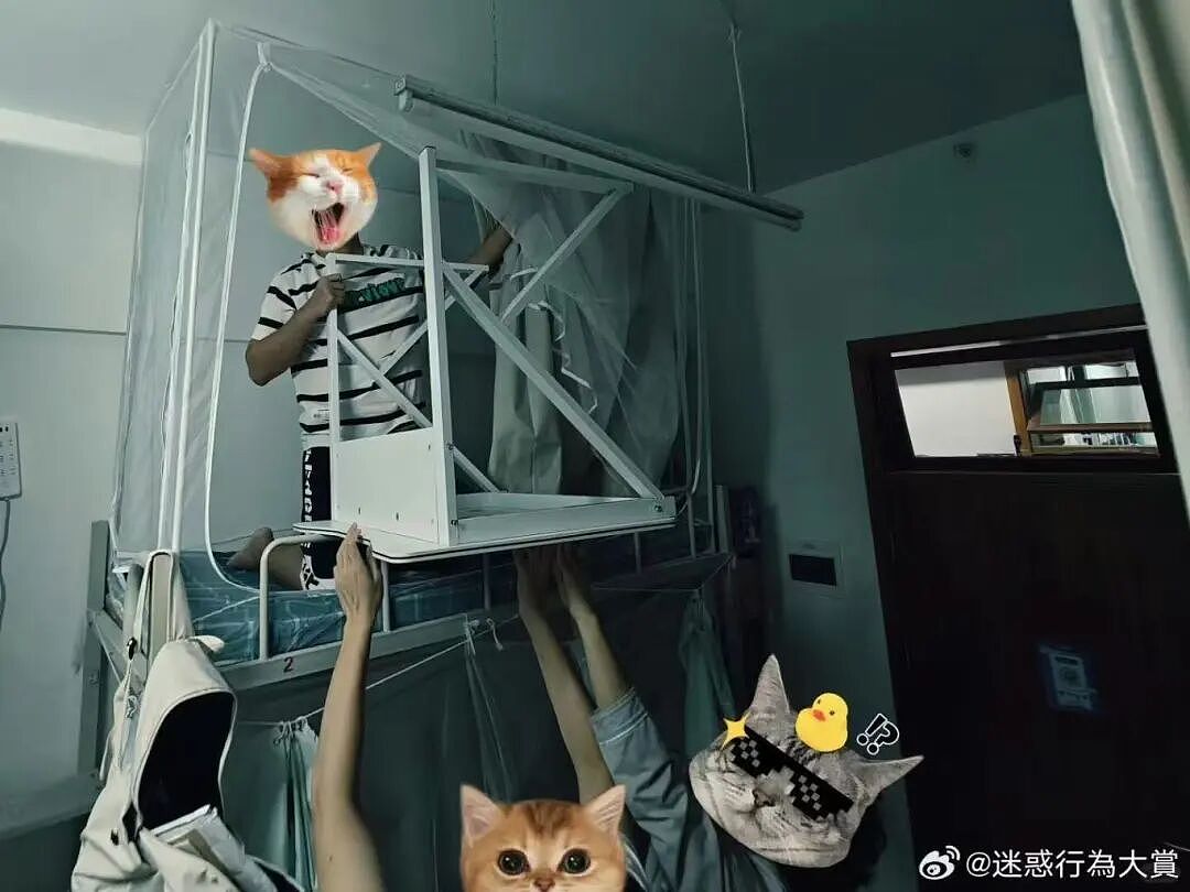 【爆笑】“相亲还要先发表sci一区论文…?”啊啊啊留给正常人的时间已经不多了!(组图) - 95