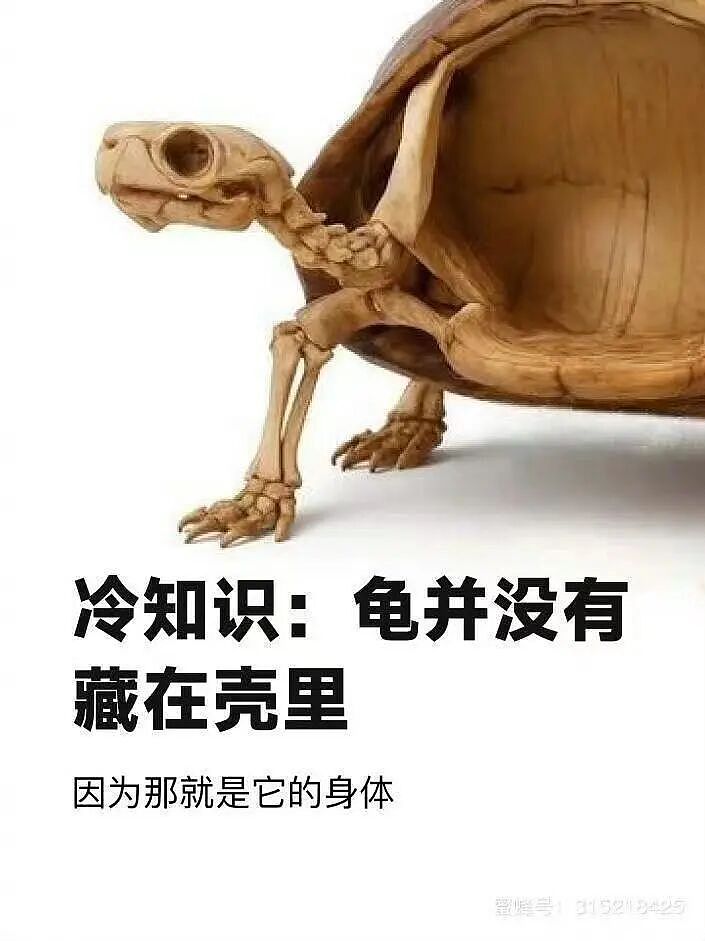 【爆笑】“谈到老款男朋友是什么体验…?”哈哈哈和你们吃漂亮饭的拼了(组图) - 56