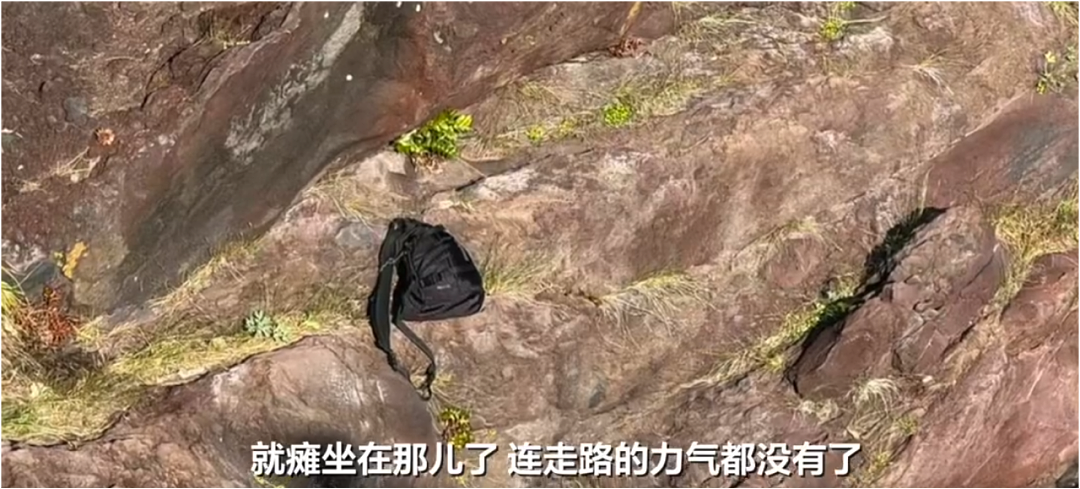 岛国版农夫与蛇?中国大叔跳海救日本女子,日本媒体集体沉默,评论区酸成柠檬精(视频/组图) - 5