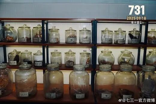 【社交】《731》12.5亿！妻子产后9天就进组，女儿出生12天就参演，导演赵林山死磕11年值吗（组图） - 8