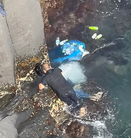 岛国版农夫与蛇?中国大叔跳海救日本女子,日本媒体集体沉默,评论区酸成柠檬精(视频/组图) - 21
