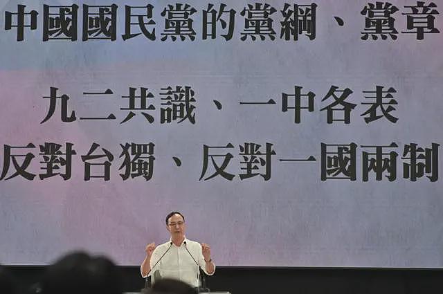 外媒:下一任国民党主席将面对的四大难题(组图) - 2
