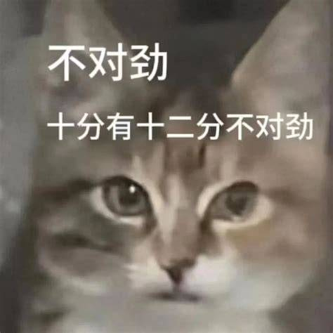 最近香港太魔幻了:海边浮尸未解,半亿黄金遭劫,市区惊现千磅炸弹(组图) - 18
