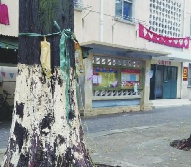 不止喜马拉雅!九寨沟圆明园都曾遭破坏,陈凯歌张纪中被点名批评(组图) - 7