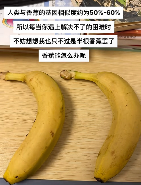 【爆笑】男朋友发来的酒店照片觉得不对劲，他是出轨了吗？网友解析：这床单褶皱有问题？（组图） - 62