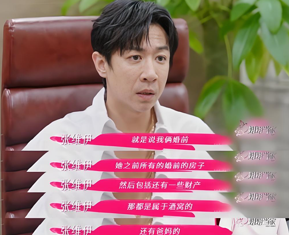 张维伊风评好转!主动放弃继承董璇的婚前财产,还愿意帮她承担债务(组图) - 2