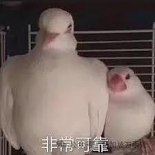 换汇被骗2万、租房被骗41万、被绑架!中国留学生正在新加坡被“围猎”(组图) - 10
