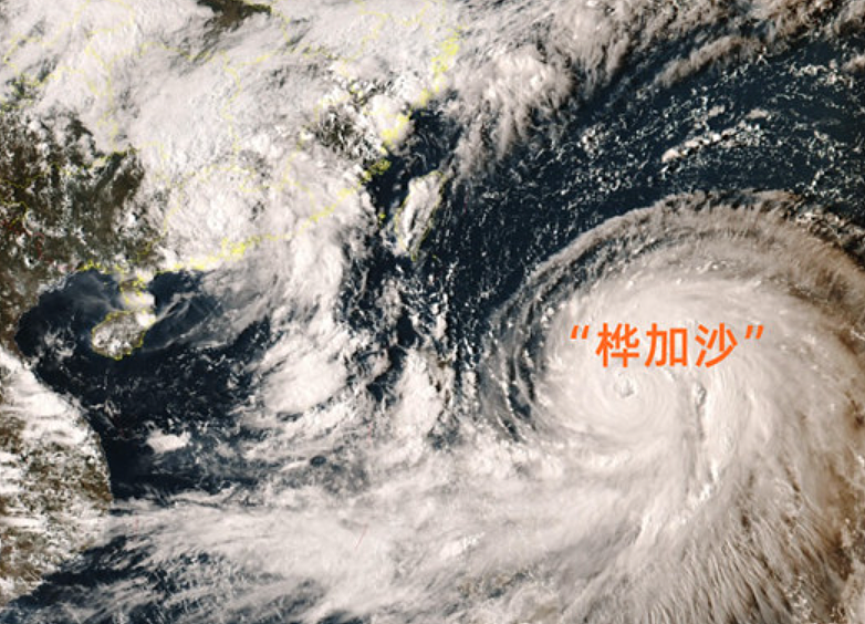 超强台风“桦加沙”登陆广东，高楼剧烈晃动！珠海司机街头“玩水造浪”，台湾堰塞湖溃堤14死，香港酒店有人被冲走（视频/组图） - 32