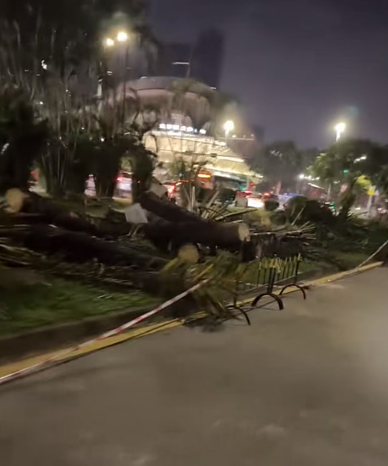 超强台风“桦加沙”登陆广东，高楼剧烈晃动！珠海司机街头“玩水造浪”，台湾堰塞湖溃堤14死，香港酒店有人被冲走（视频/组图） - 27