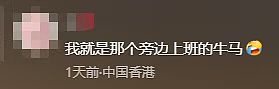 最近香港太魔幻了:海边浮尸未解,半亿黄金遭劫,市区惊现千磅炸弹(组图) - 11