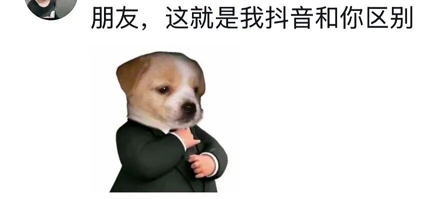 被夸“头脑天花板级别”的新晋顶流，没点文化还真不敢爱（组图） - 20