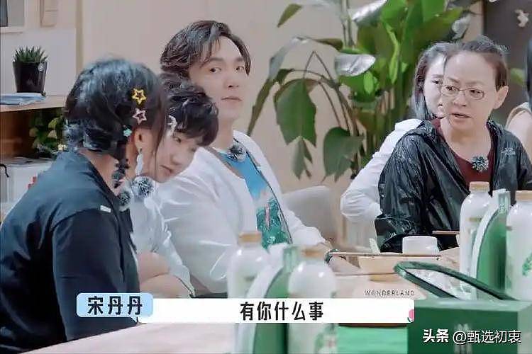 面相变了？老艺术家宋丹丹遭网友炮轰人设彻底崩盘（组图） - 8