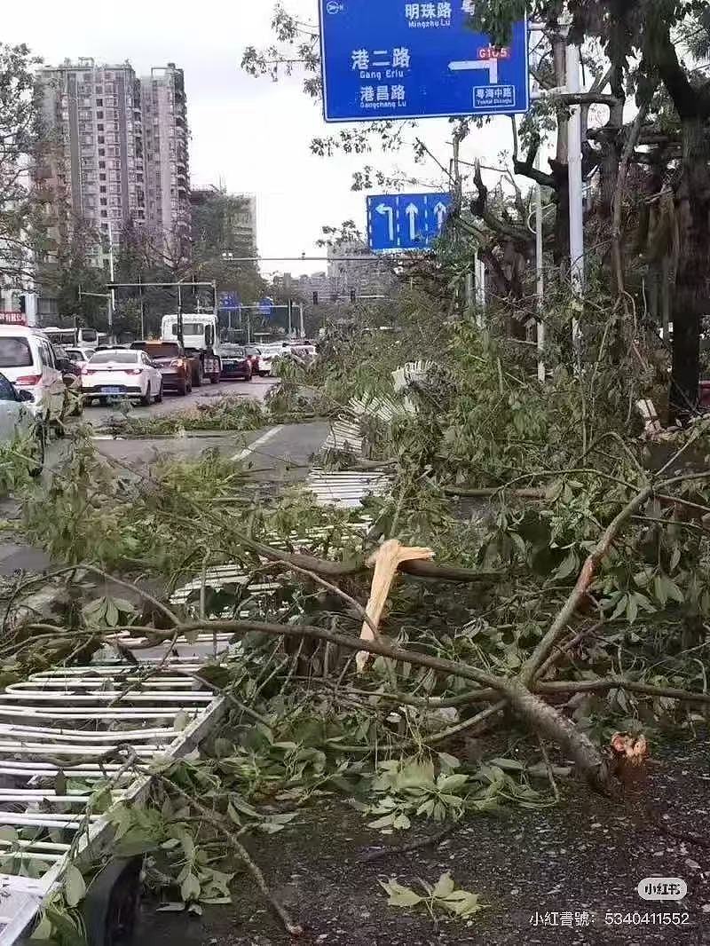台风桦加沙:珠海录得17级以上阵风!树木连根拔起,住宅吊灯晃动(视频/组图) - 4