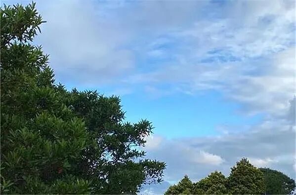 澳首府城市房产清盘率升至四年来最高水平 市场“稳而不旺”  管道产品分销商 (ASX：REH)发起2.5亿澳元股份回购计划 - 3