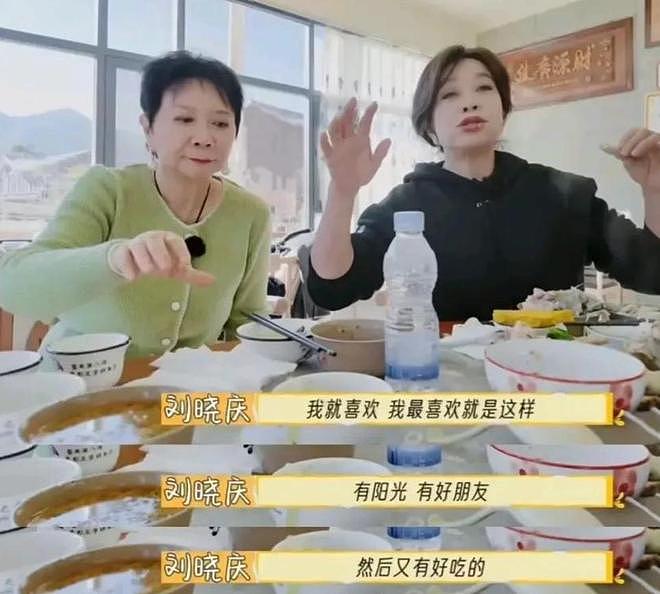 钱再多有什么用？75岁无儿无女的刘晓庆，给情绪崩溃的费翔提了醒（组图） - 28
