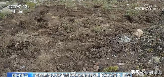 蔡国强始祖鸟撒谎了!央视现场打脸,当地村民发声,污染物没清理(组图) - 13